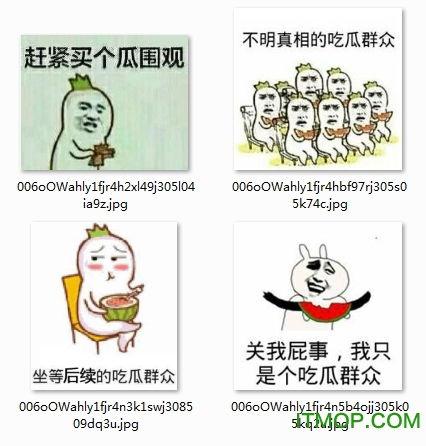 吃瓜表情包图片是什么意思,网络热传的幽默背后